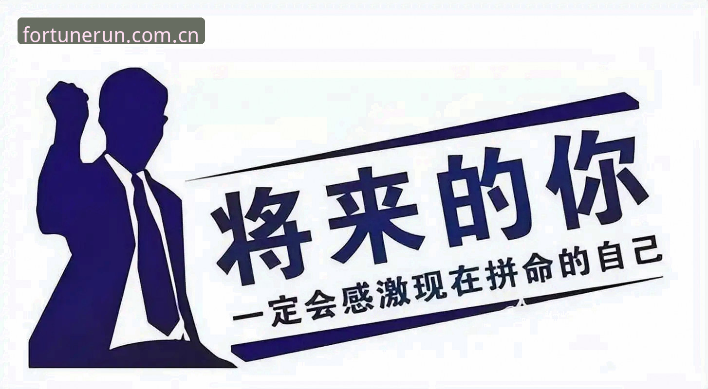 杏运体育专属服务详解：从下载到实战的全流程指南